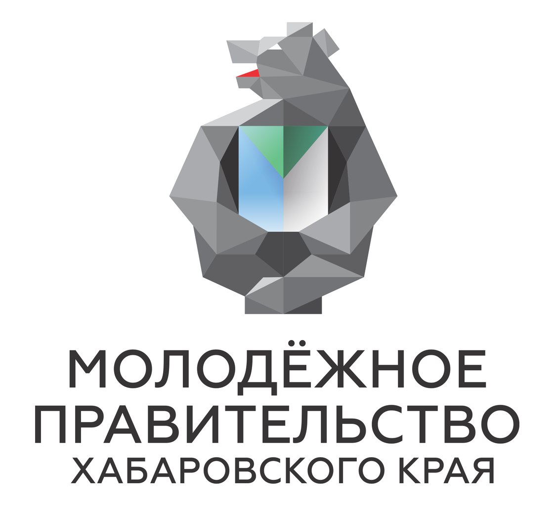 Молодежное правительство логотип
